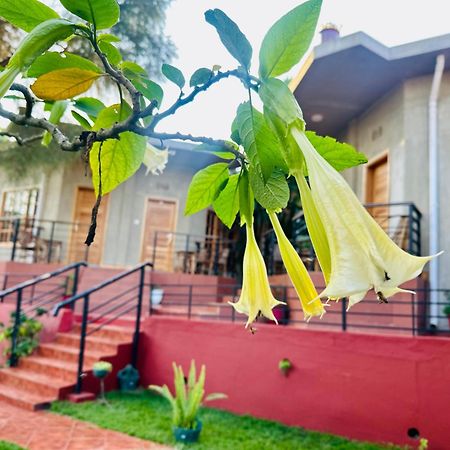 Babylon Lodge Marangu Ngoại thất bức ảnh