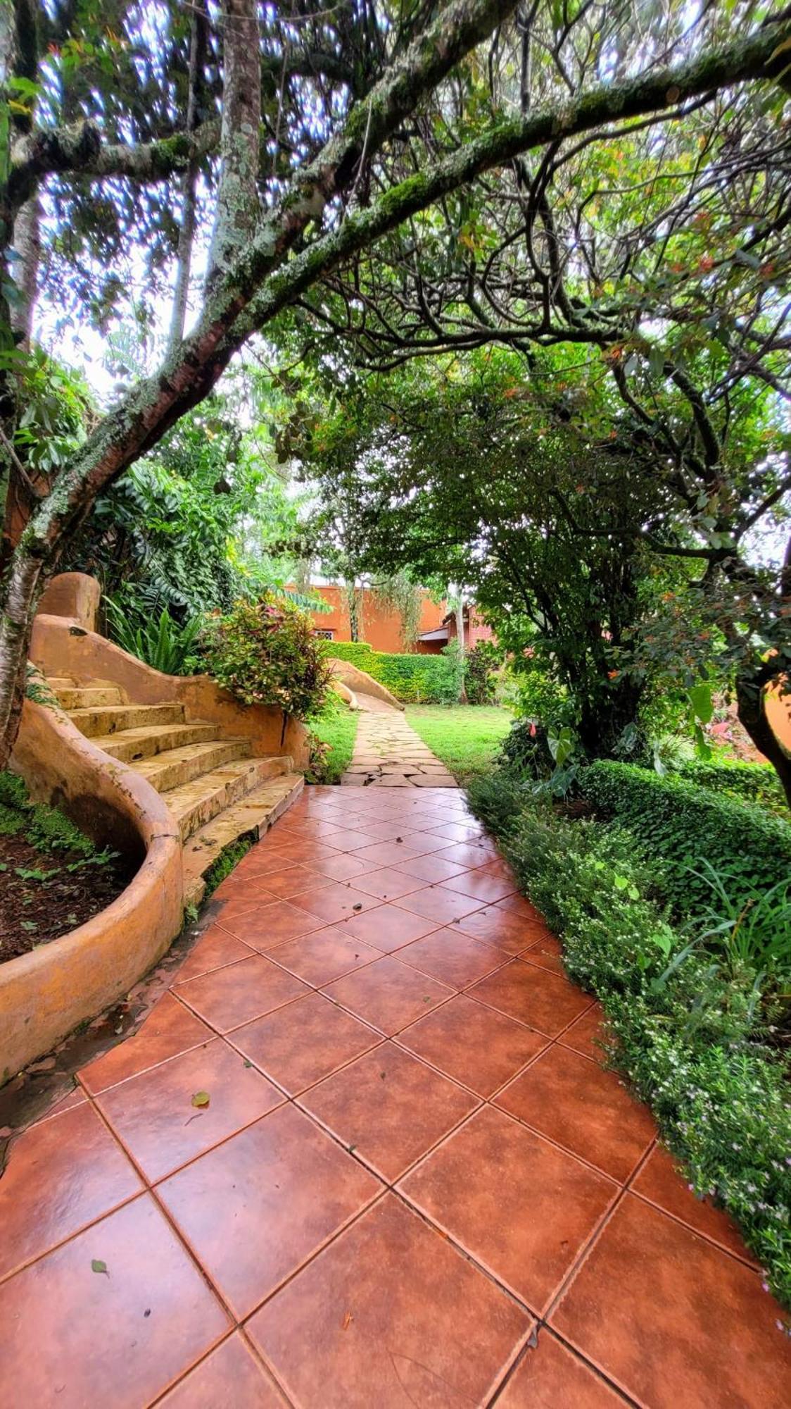 Babylon Lodge Marangu Ngoại thất bức ảnh