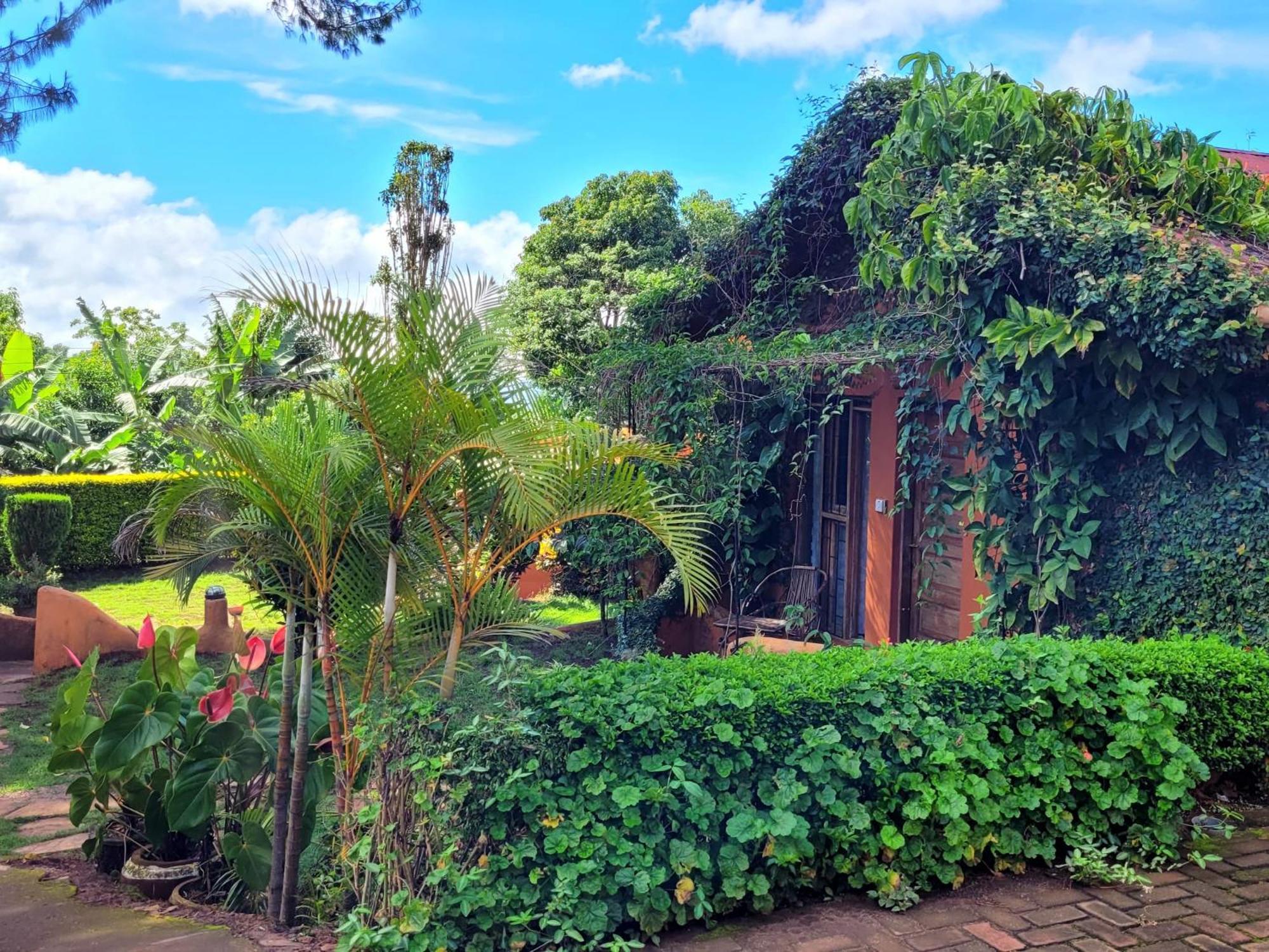 Babylon Lodge Marangu Ngoại thất bức ảnh