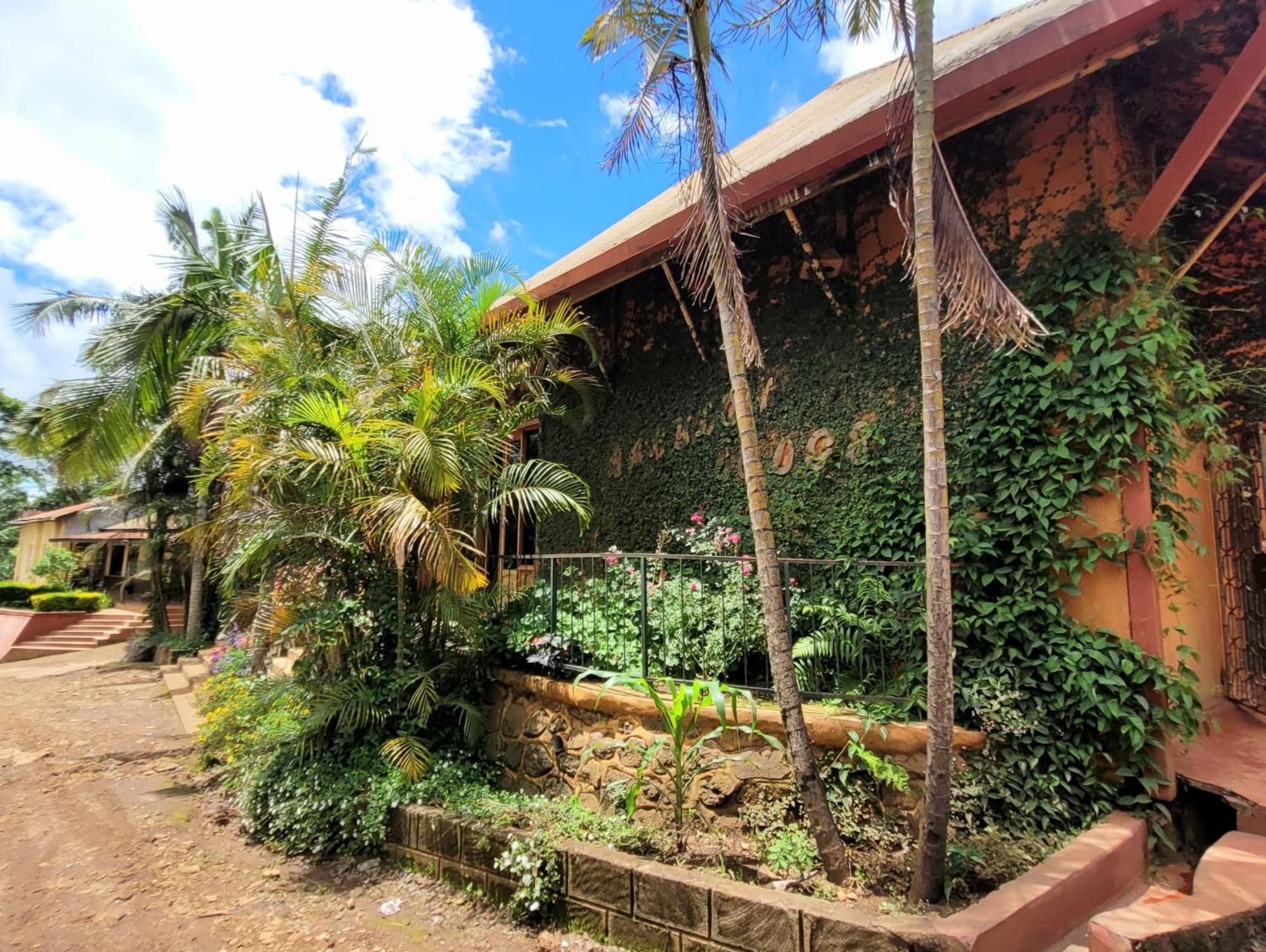 Babylon Lodge Marangu Ngoại thất bức ảnh