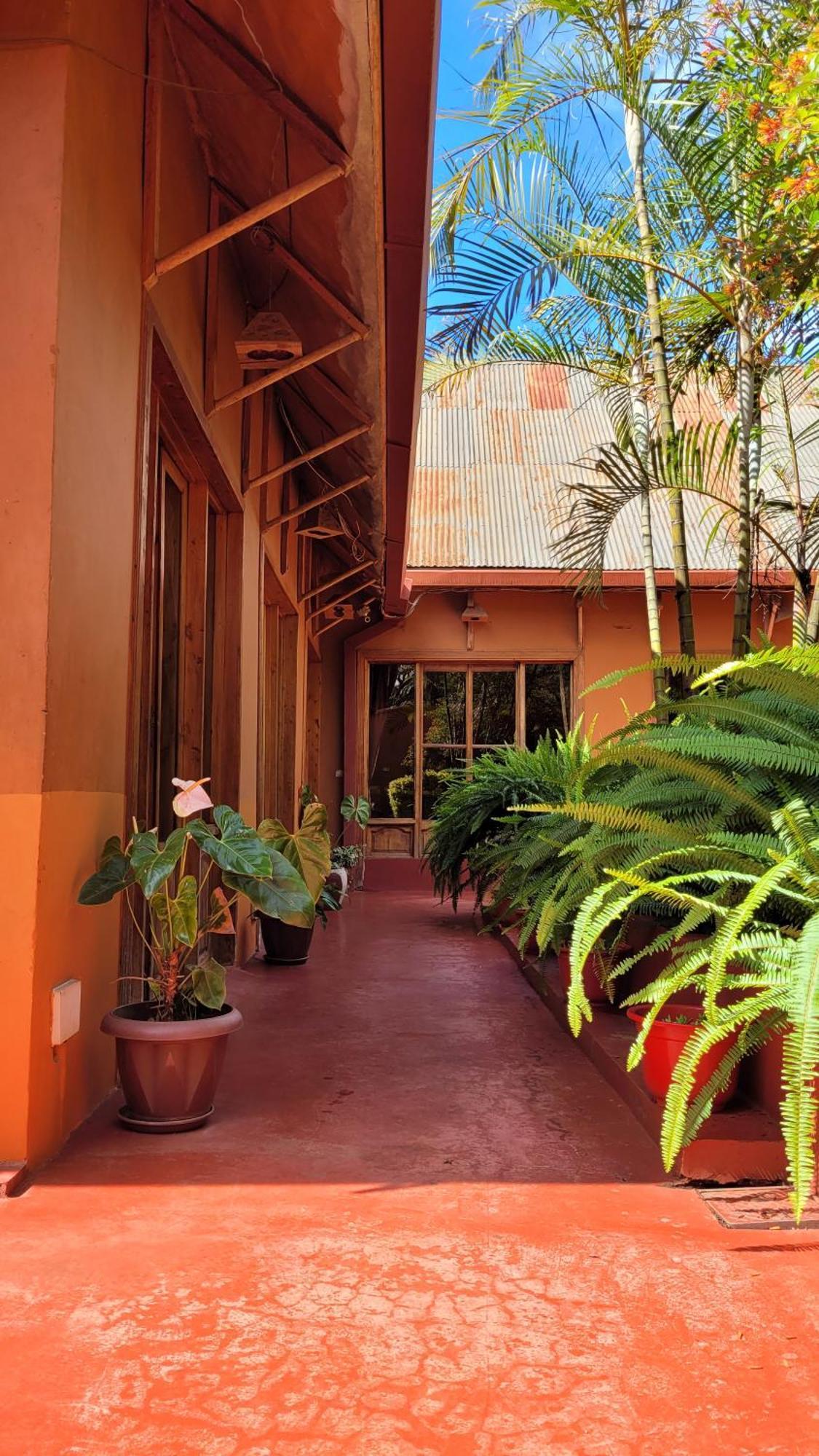 Babylon Lodge Marangu Ngoại thất bức ảnh