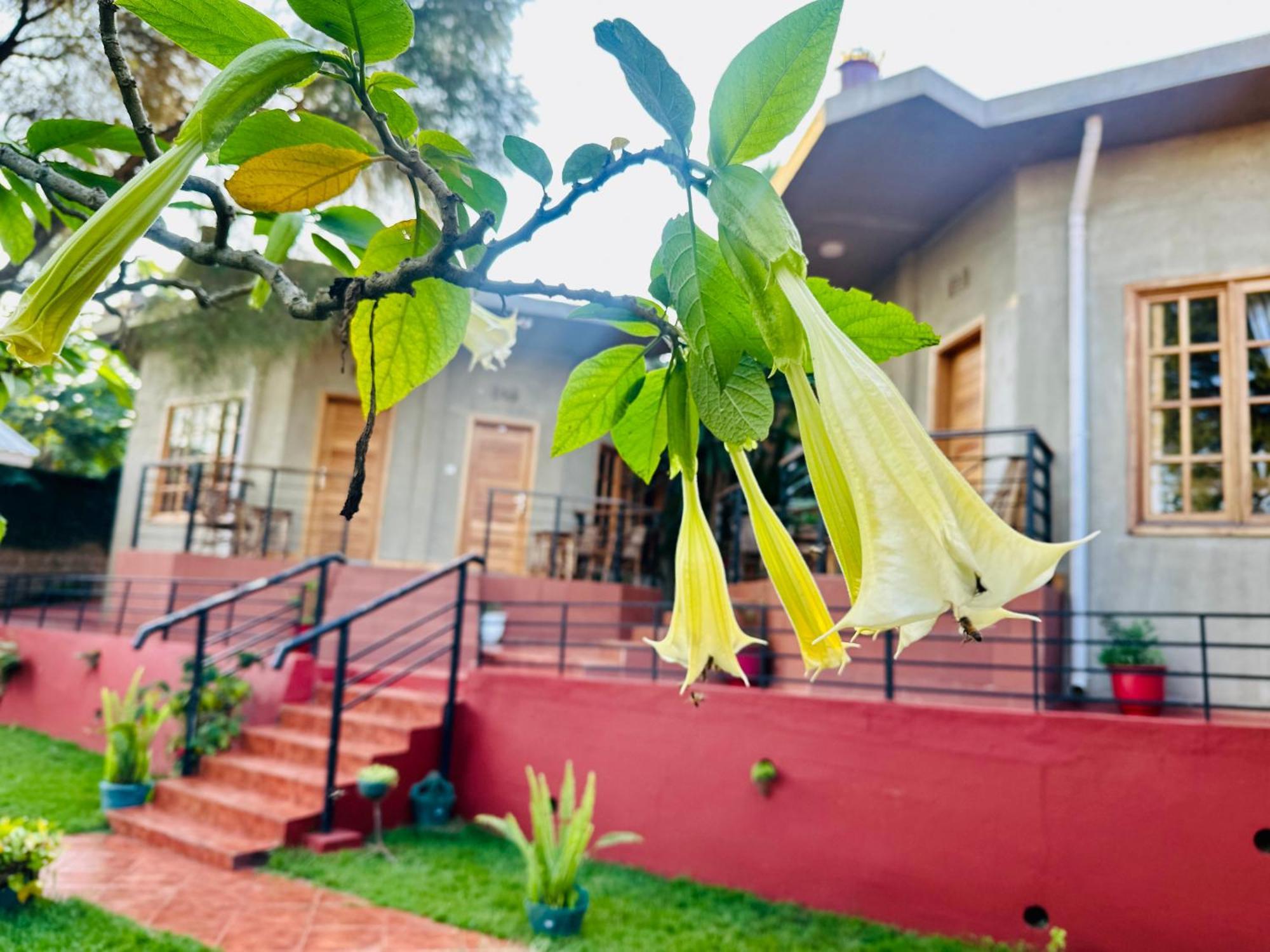 Babylon Lodge Marangu Ngoại thất bức ảnh